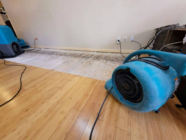 Professional Structural Drying technician working in Clermont, GA
